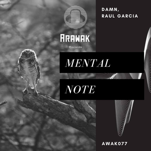 Raul Garcia, DAMN - Mental Note [AWAK077]